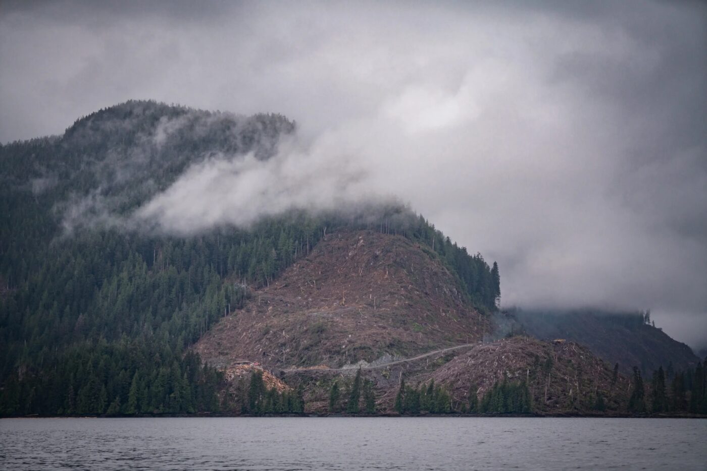 Press Release: Tribes, Fishing and Forest Advocates Intervene to Defend ...