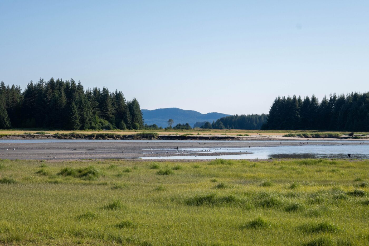 Mining roundup: Governor's order to green light? Red flag! - Southeast ...